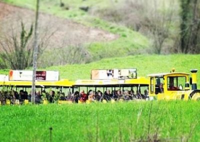 EL TREN TRICU TRICU POR LA VALL DE BIANYA, 31 de Octubre