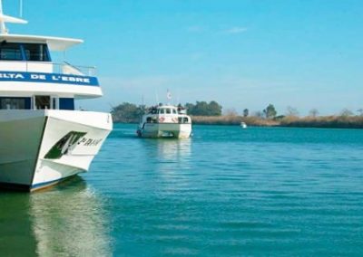 CRUCEROS CON MARISCADA A BORDO EN EL DELTA Y EXPOSICIÓN DE BONSÁIS, 10 de Octubre